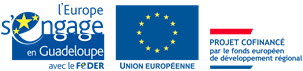 Financement par le FEDER, Union Européenne