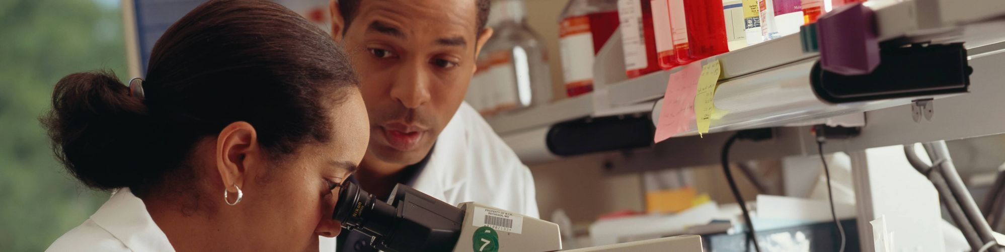 Recherches effectuées à l'aide d'un microscope