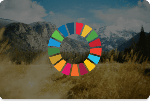 Sustainable Development Goals (SDG)